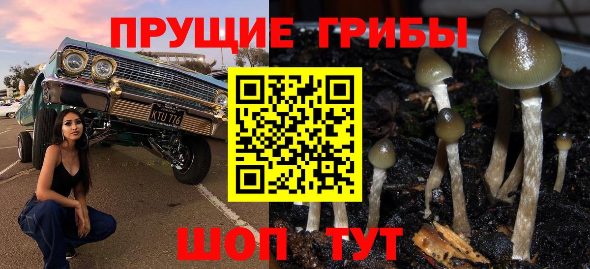 Галлюциногенные грибы ЛСД Рубцовск